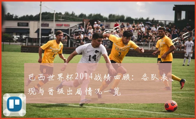 巴西世界杯2014战绩回顾：各队表现与晋级出局情况一览
